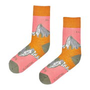 fujfuj Socks (Colour: El Capitan)