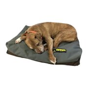 Organic Dog Bed (Size: Small)